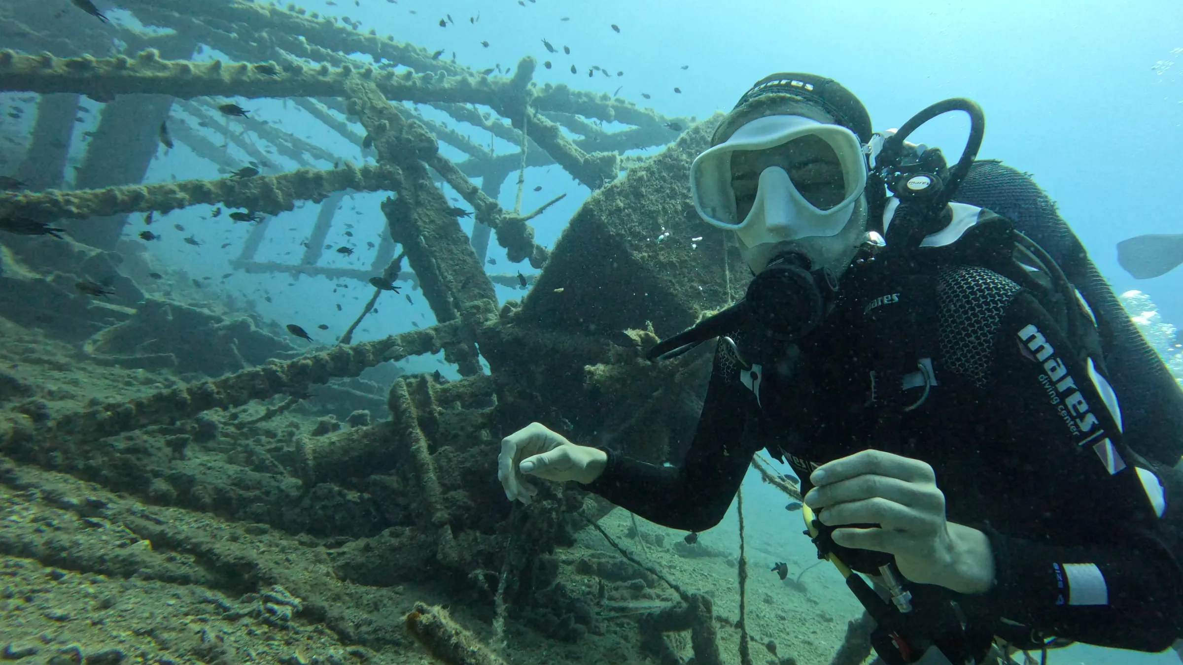 Plongeur près d’une épave couverte de vie marine près d’Omis